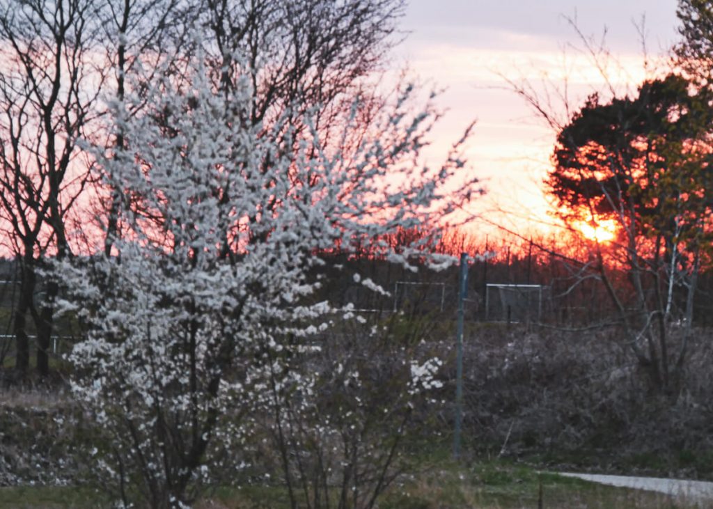 Gude Stories - Auf der Sonnenroute - 06