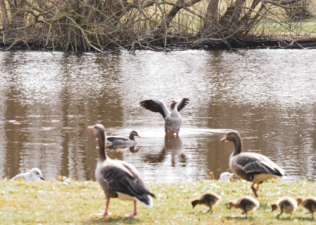 Gude Stories - Auf der Sonnenroute - 09